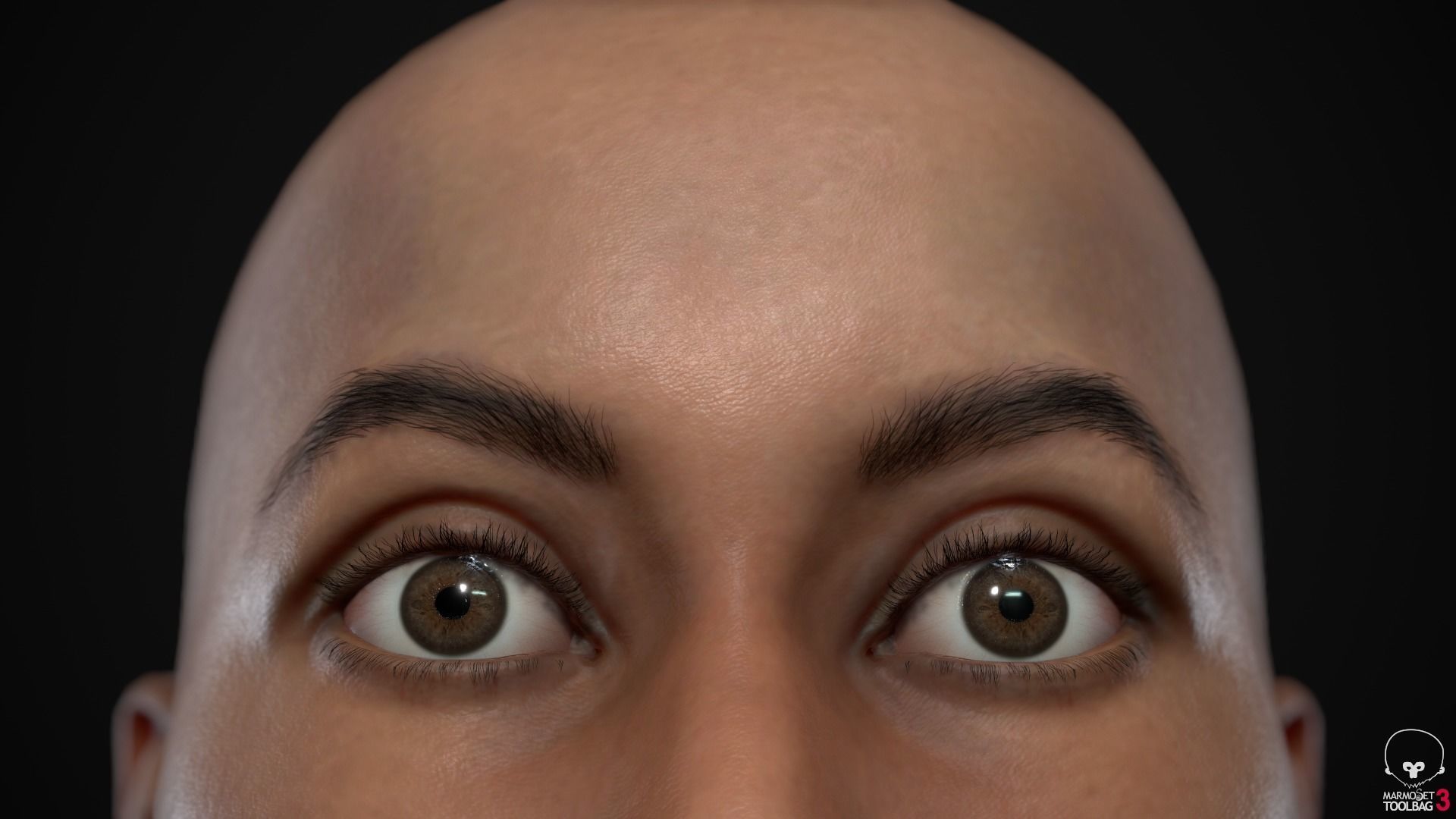 Big women pack 3D Model Collection_101