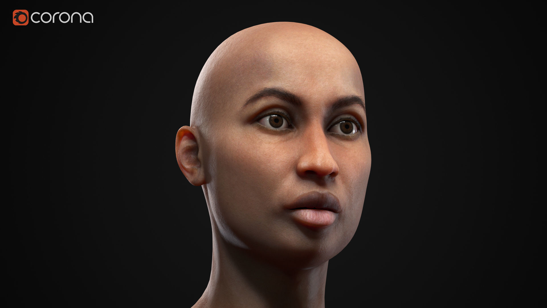 Big women pack 3D Model Collection_87