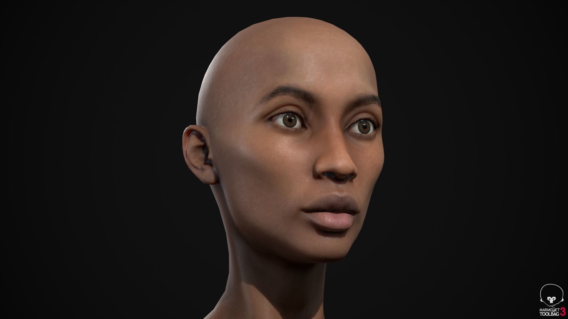 Big women pack 3D Model Collection_45