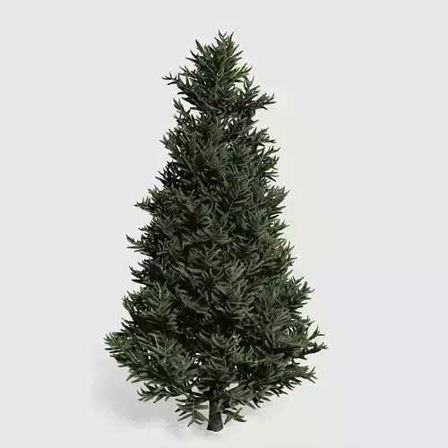 Fraser Fir tree collection 9 trees Models in the scene Low-poly 3D model