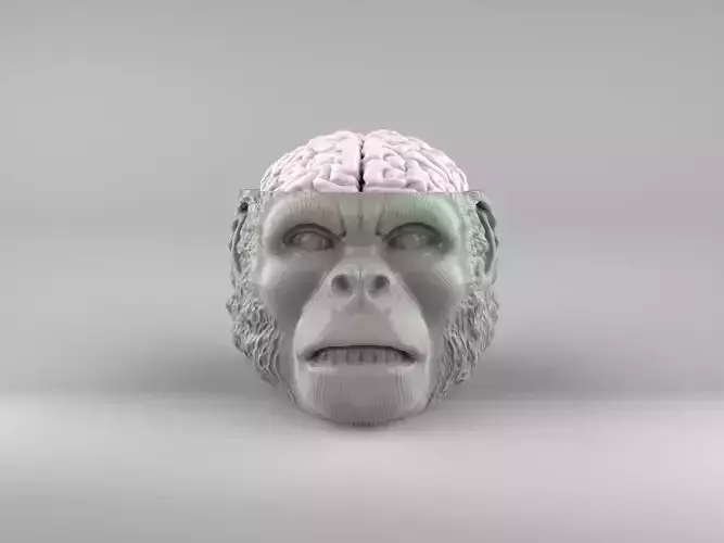 Indiana Jones Temple of Doom Chilled Monkey Brains 3D print model