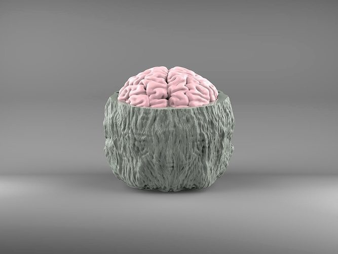 Indiana Jones Temple of Doom Chilled Monkey Brains 3D print model 7