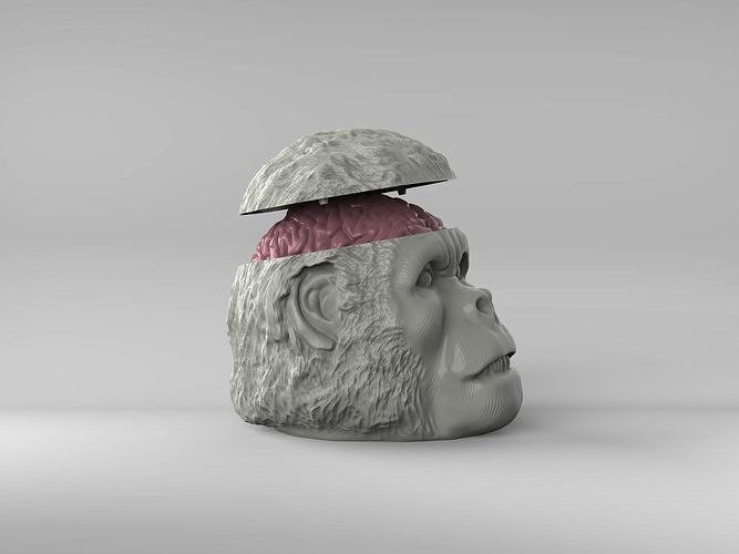 Indiana Jones Temple of Doom Chilled Monkey Brains 3D print model 6