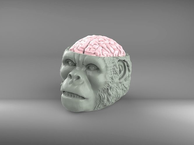Indiana Jones Temple of Doom Chilled Monkey Brains 3D print model 3