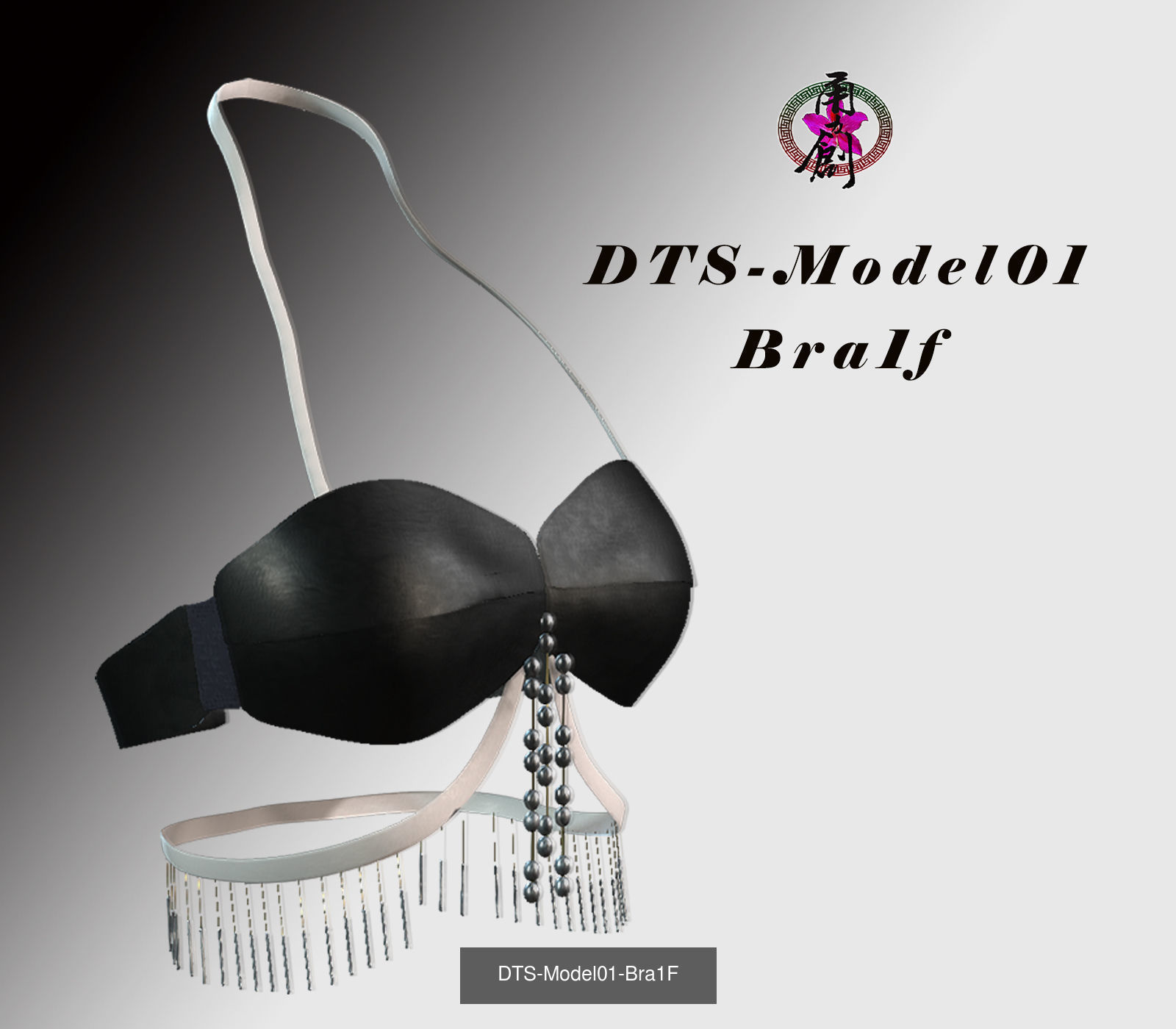 Fashion Bras Collection _6