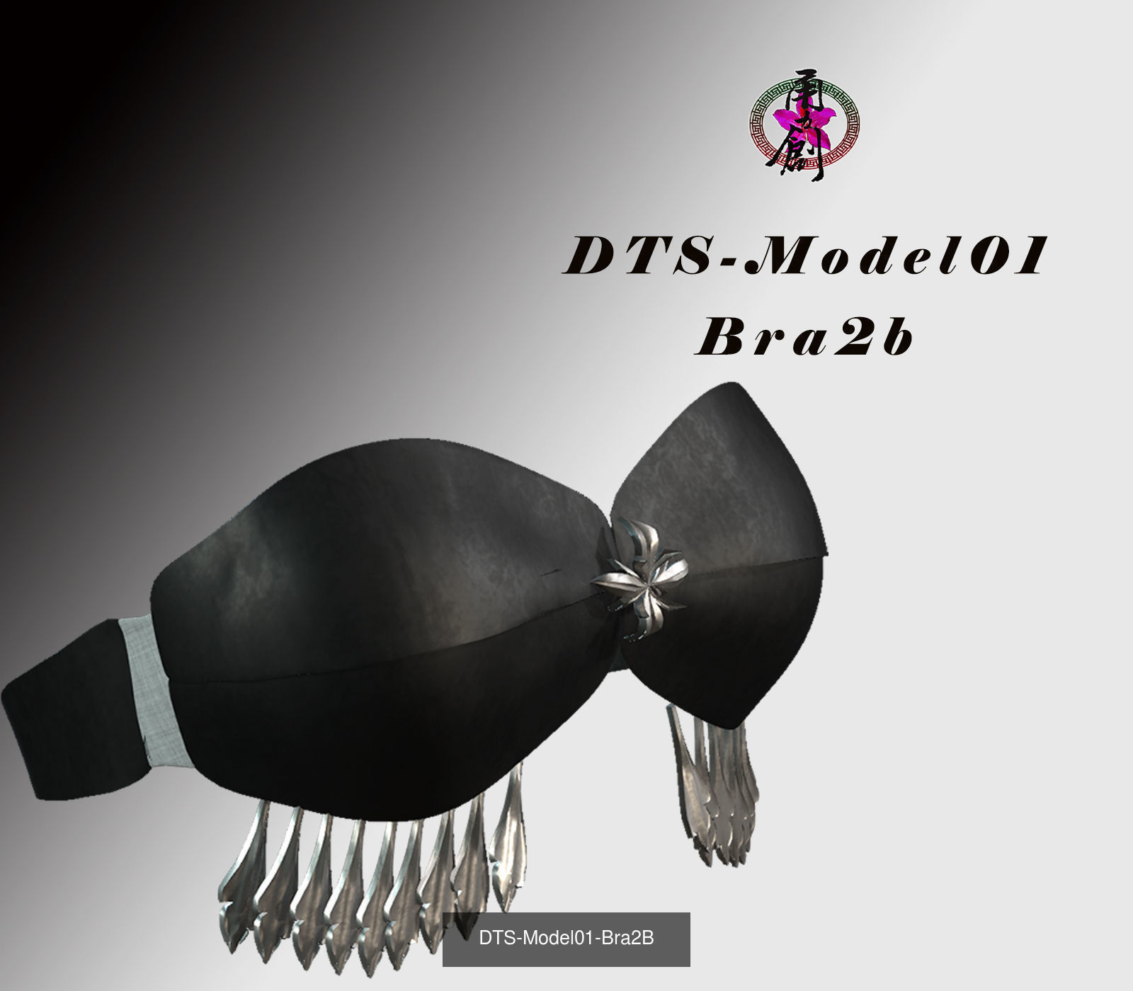 Fashion Bras Collection _10