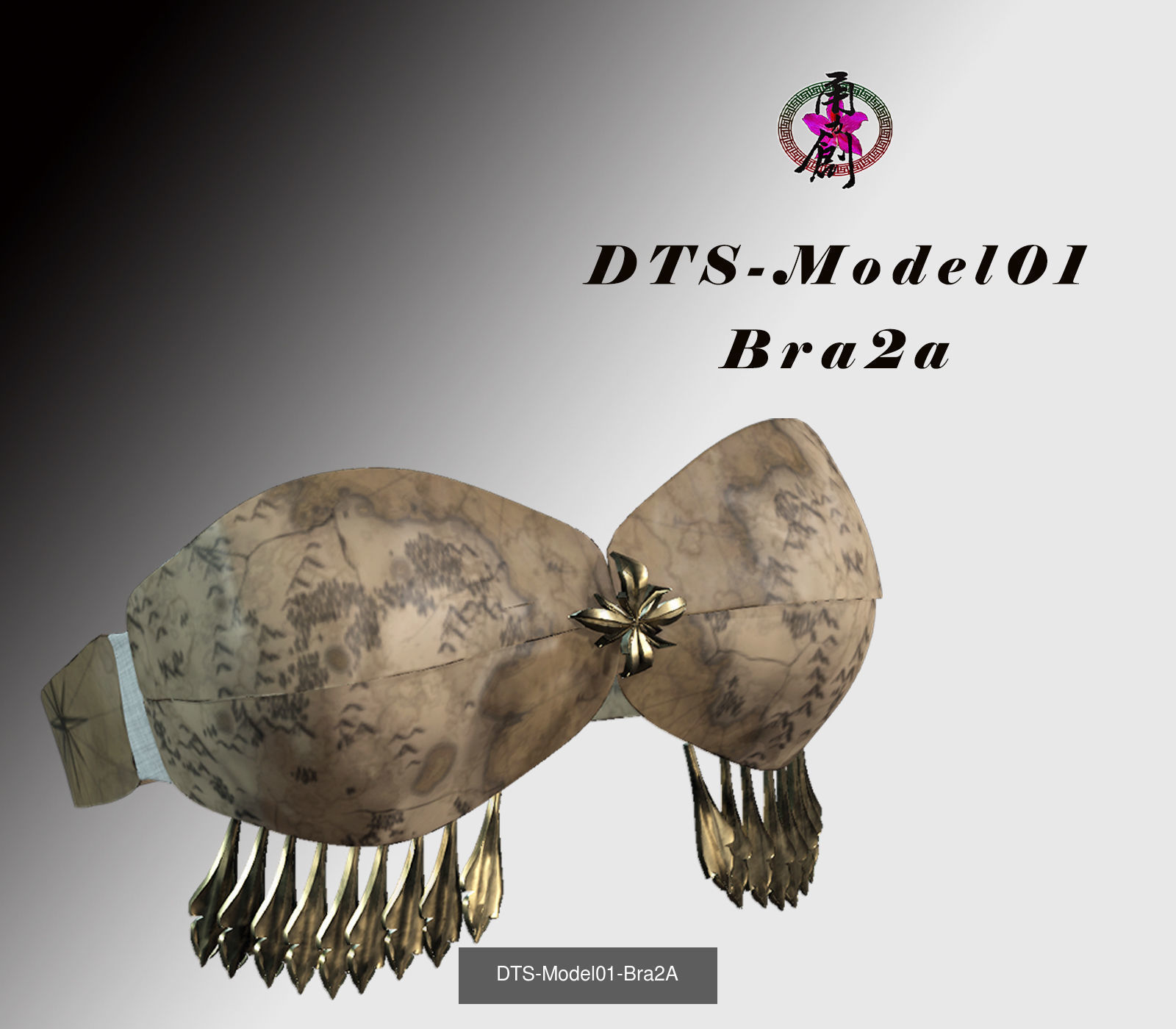 Fashion Bras Collection _9