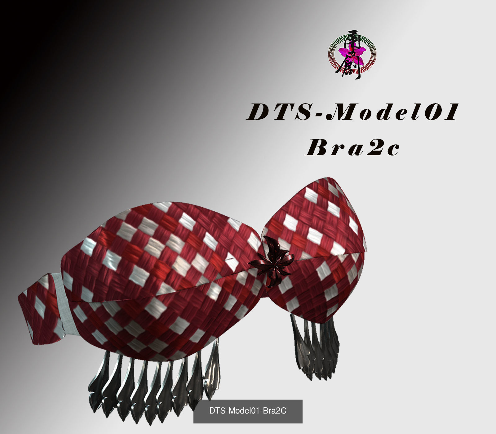 Fashion Bras Collection _11