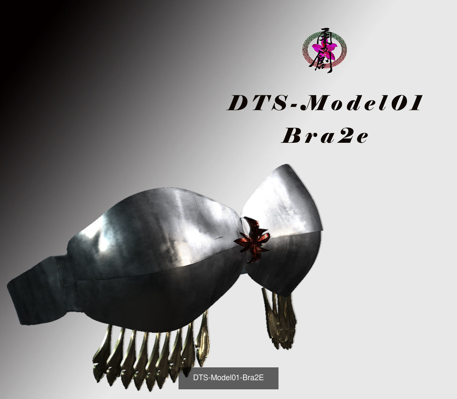 Fashion Bras Collection _13