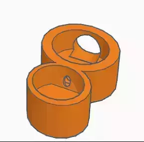 small acorn ant nest