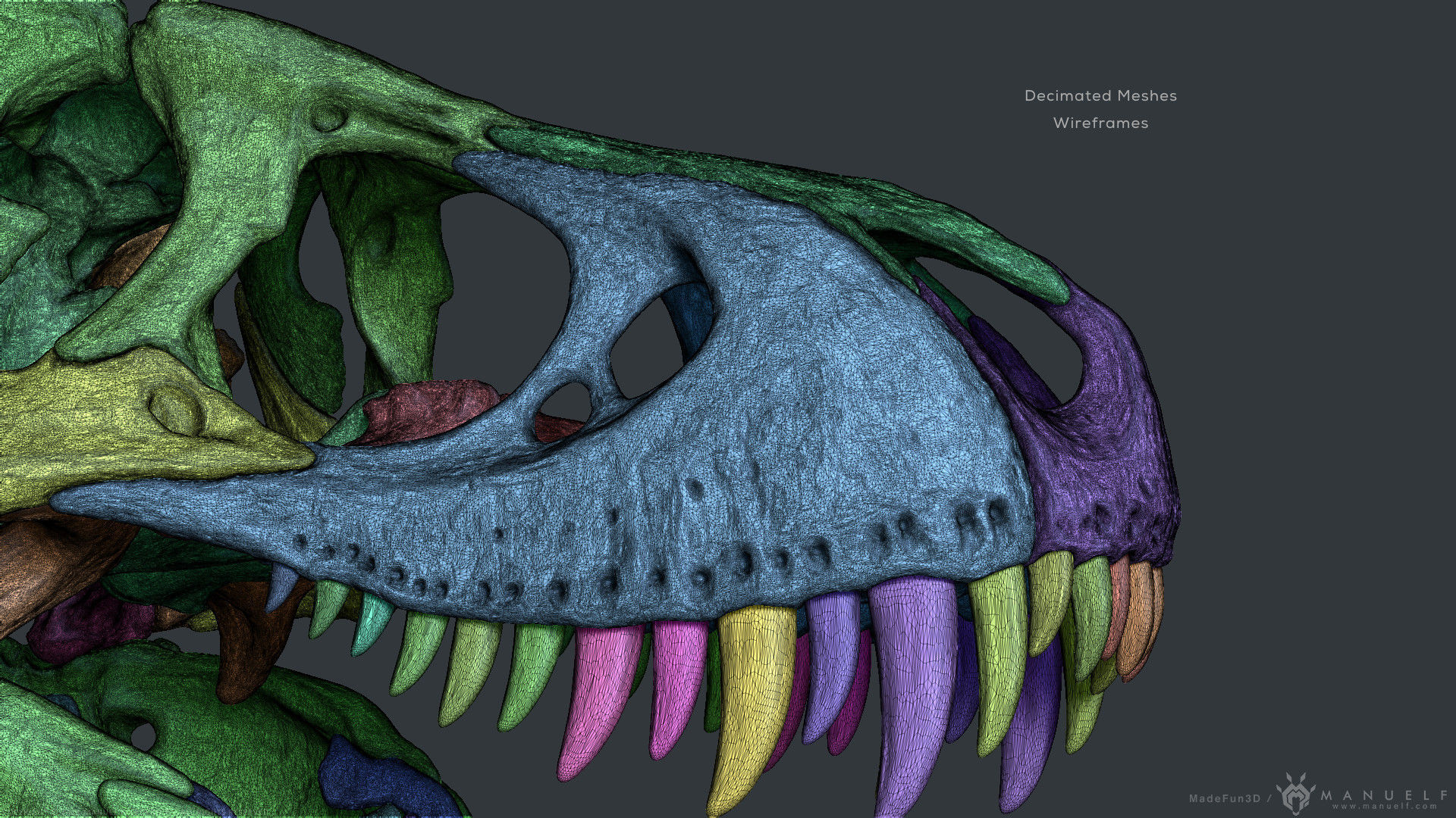 Tyrannosaurus Rex Skull Bones Sculpture 3D model_24