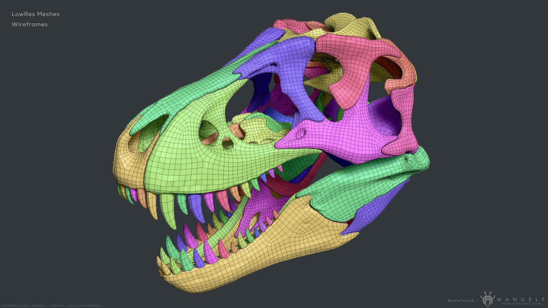 Tyrannosaurus Rex Skull Bones Sculpture 3D model_22