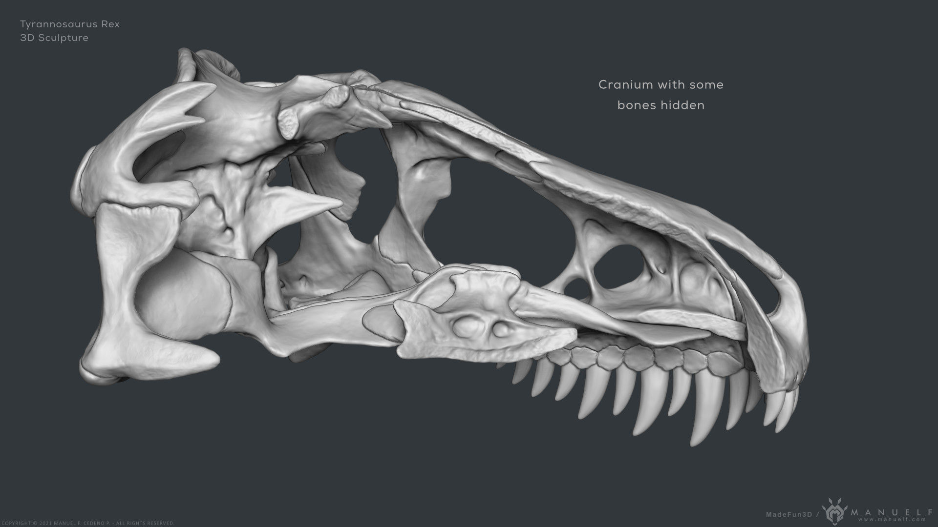 Tyrannosaurus Rex Skull Bones Sculpture 3D model_18