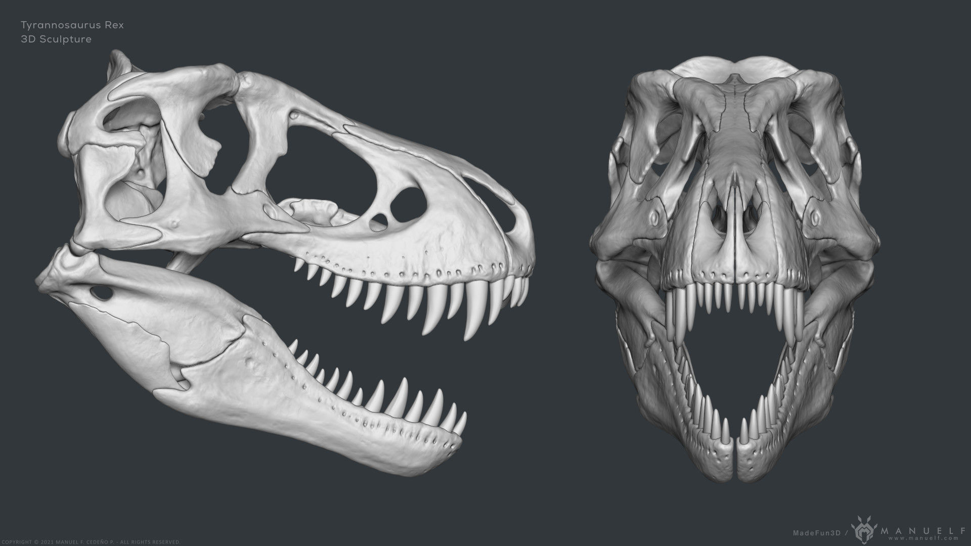 Tyrannosaurus Rex Skull Bones Sculpture 3D model_5