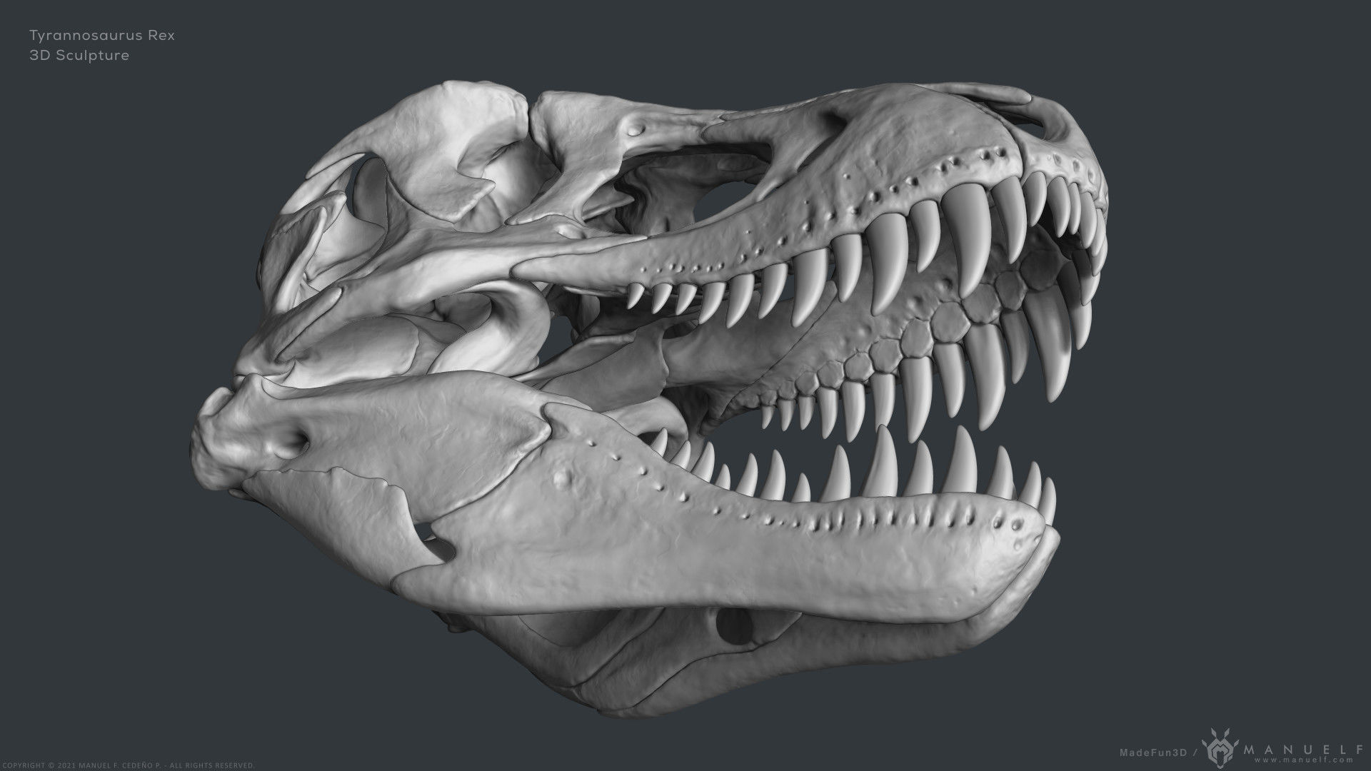 Tyrannosaurus Rex Skull Bones Sculpture 3D model_4