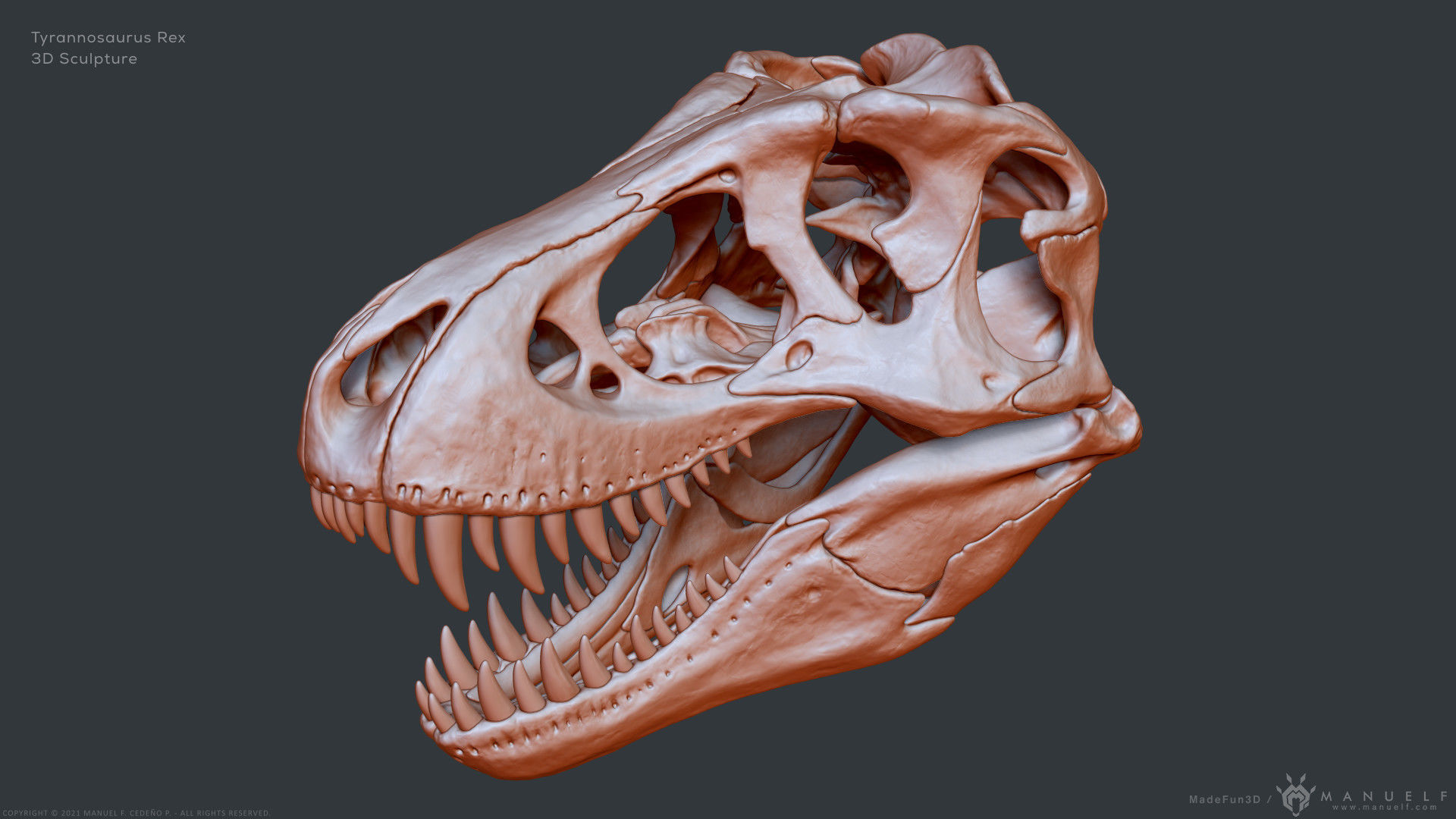 Tyrannosaurus Rex Skull Bones Sculpture 3D model_28