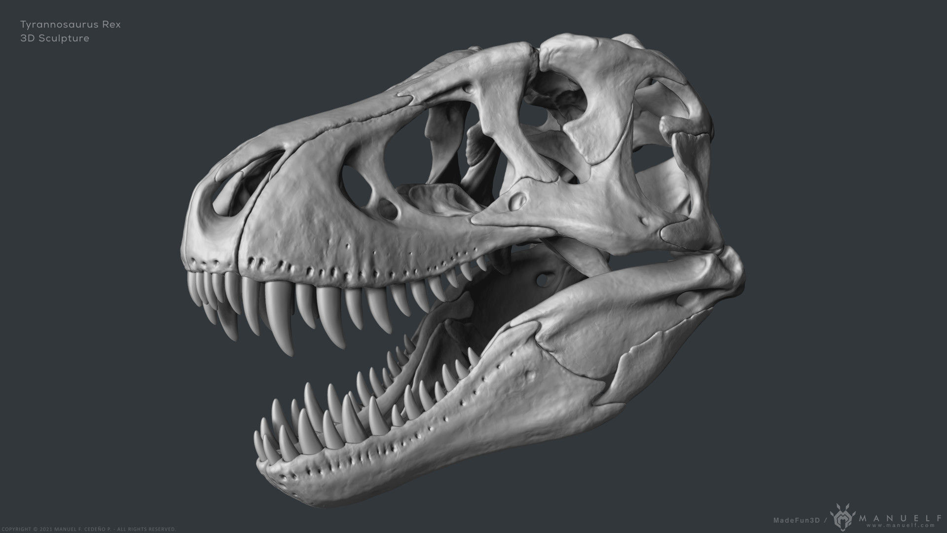 Tyrannosaurus Rex Skull Bones Sculpture 3D model_2