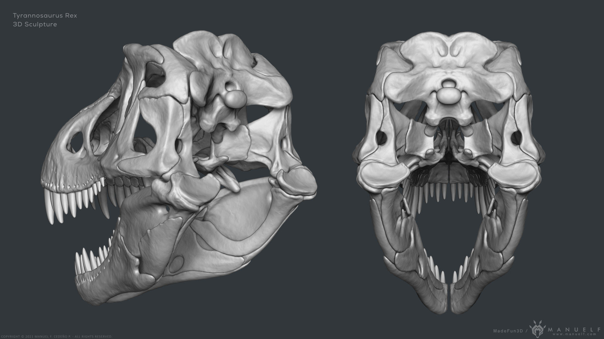 Tyrannosaurus Rex Skull Bones Sculpture 3D model_6