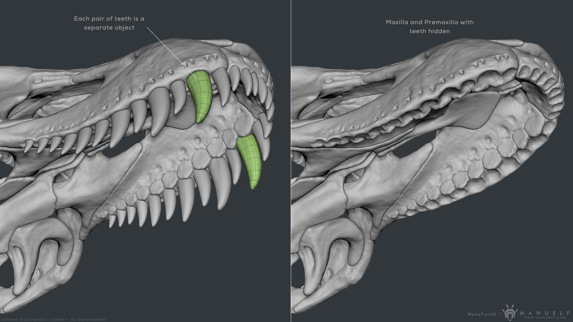 Tyrannosaurus Rex Skull Bones Sculpture 3D model_16