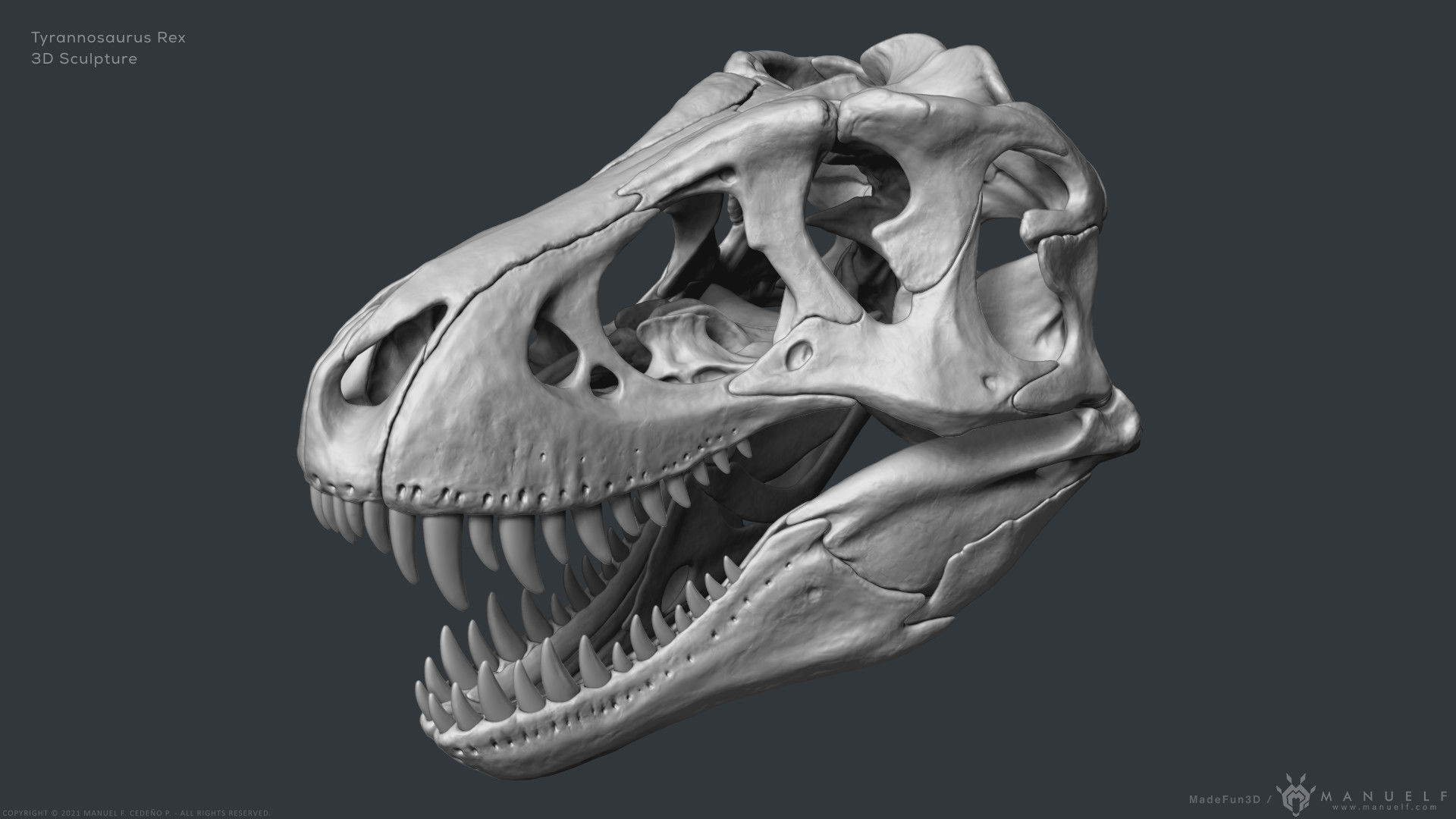 Tyrannosaurus Rex Skull Bones Sculpture 3D model_19