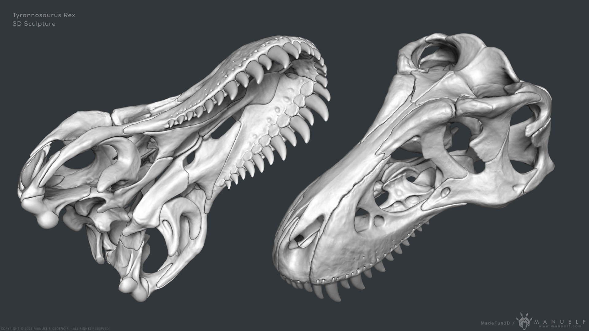 Tyrannosaurus Rex Skull Bones Sculpture 3D model_10