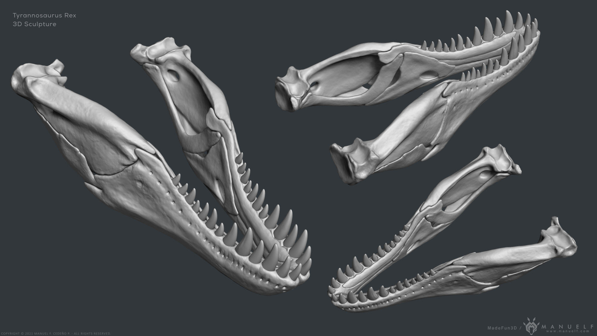 Tyrannosaurus Rex Skull Bones Sculpture 3D model_12