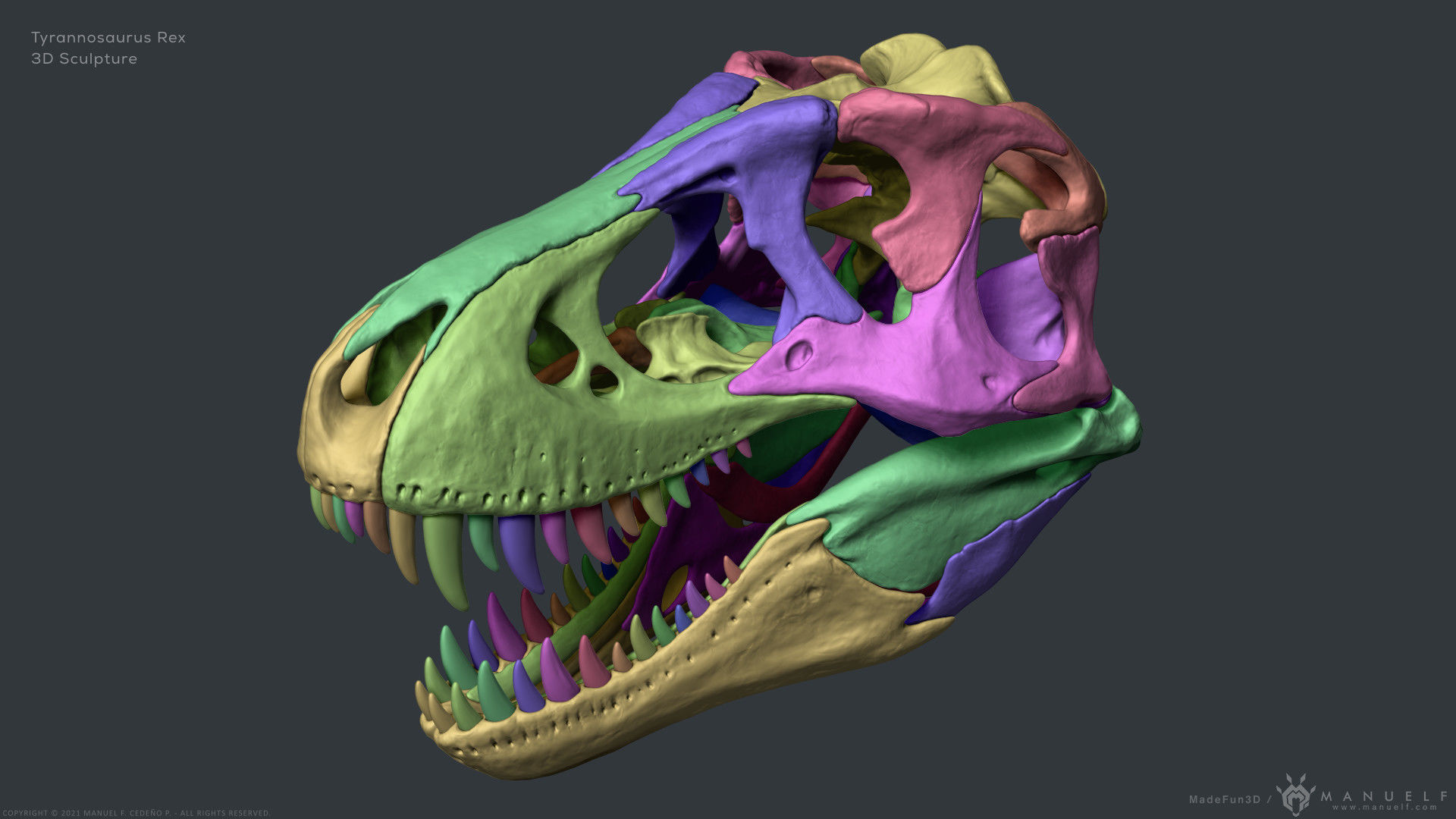 Tyrannosaurus Rex Skull Bones Sculpture 3D model_20