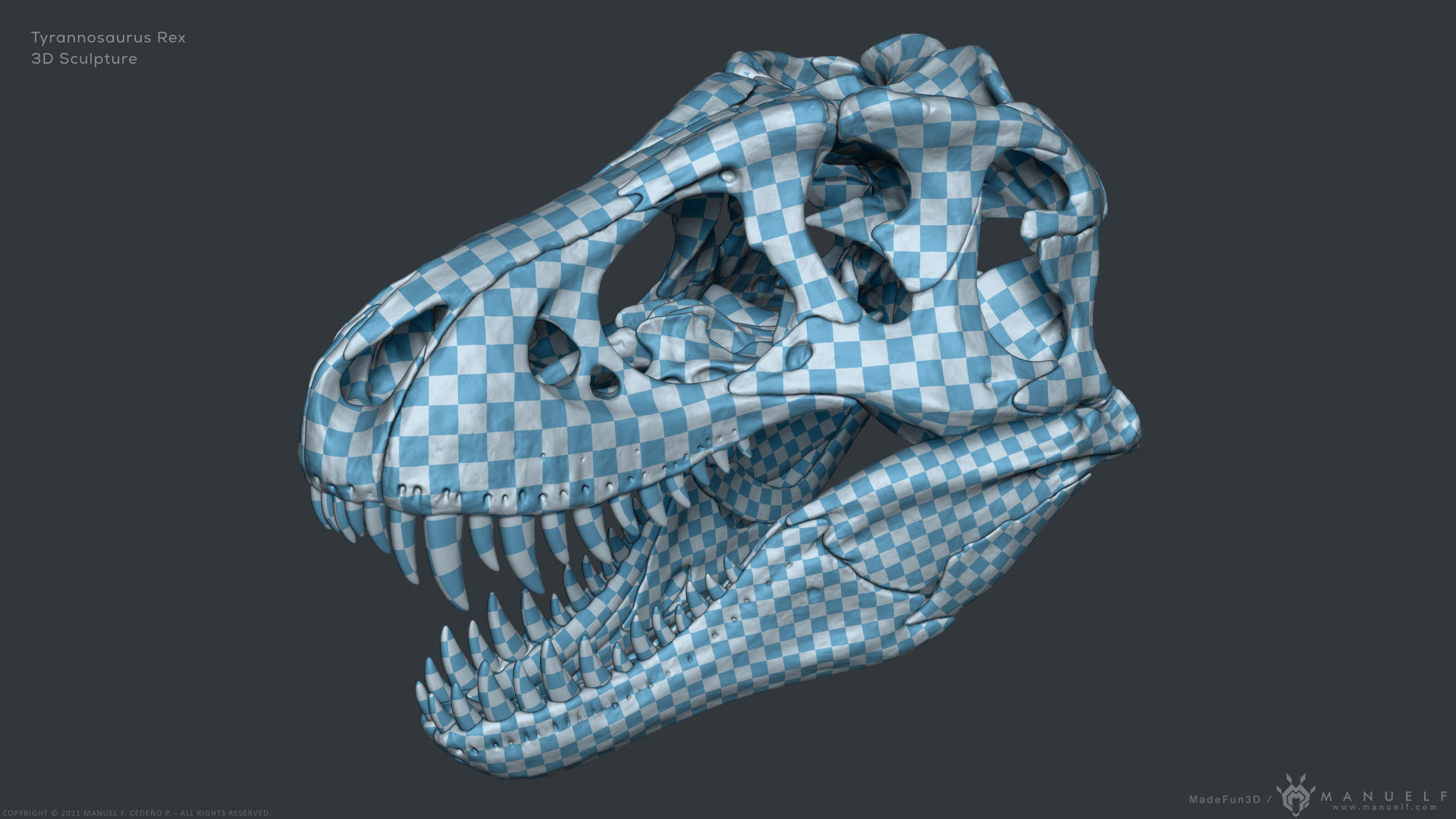 Tyrannosaurus Rex Skull Bones Sculpture 3D model_21