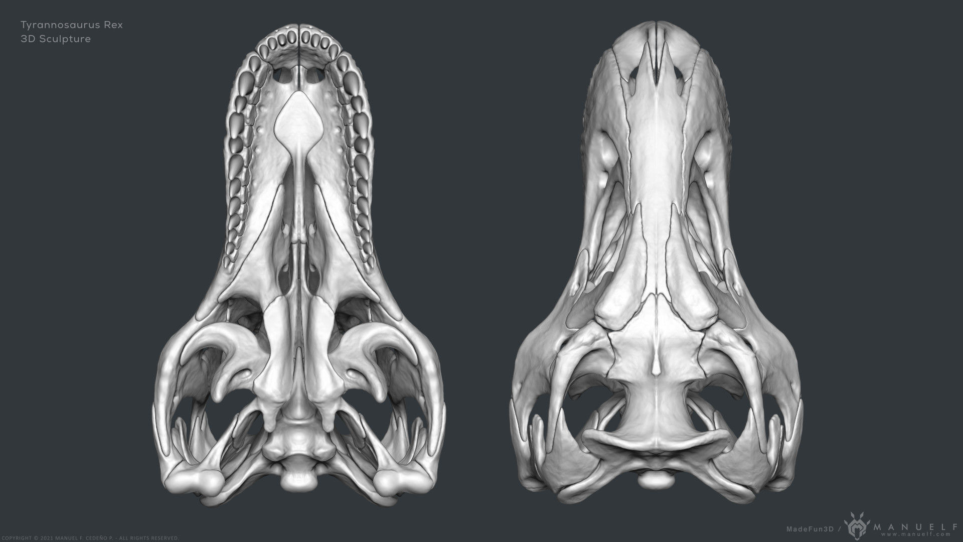 Tyrannosaurus Rex Skull Bones Sculpture 3D model_8