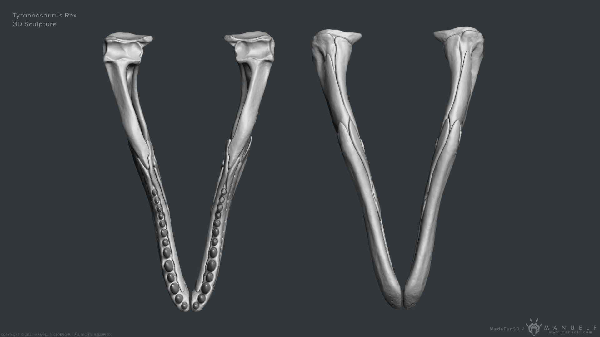 Tyrannosaurus Rex Skull Bones Sculpture 3D model_14