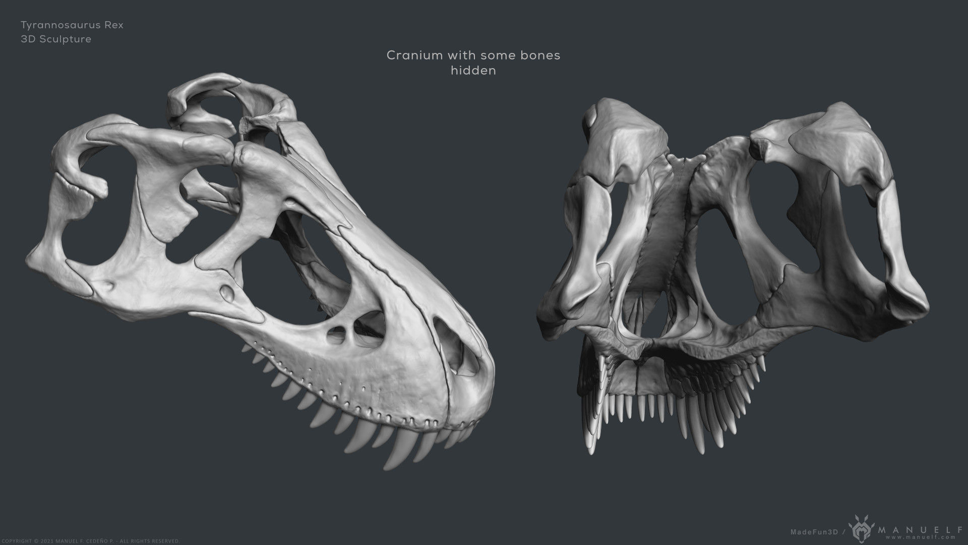 Tyrannosaurus Rex Skull Bones Sculpture 3D model_17