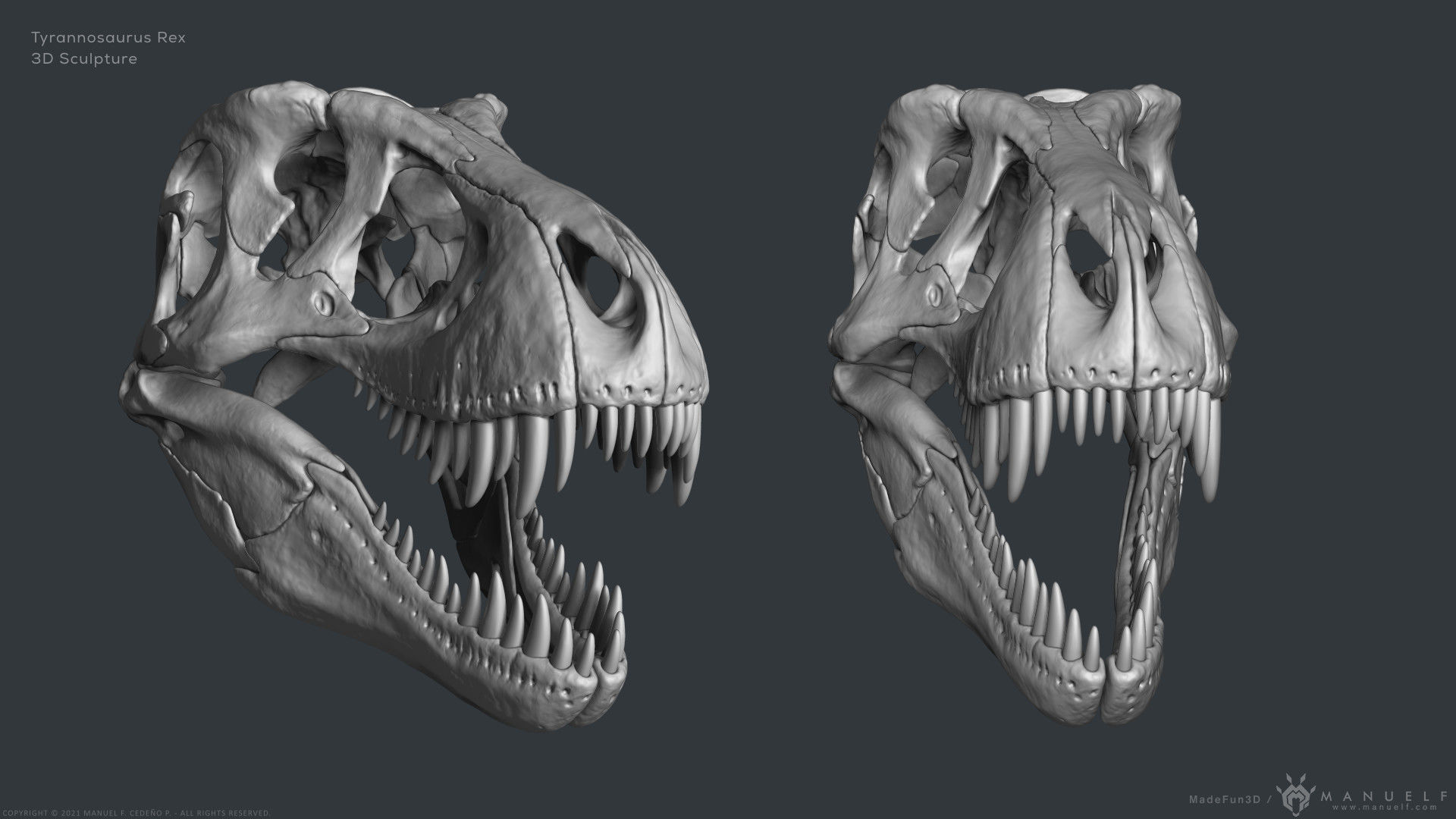 Tyrannosaurus Rex Skull Bones Sculpture 3D model_7