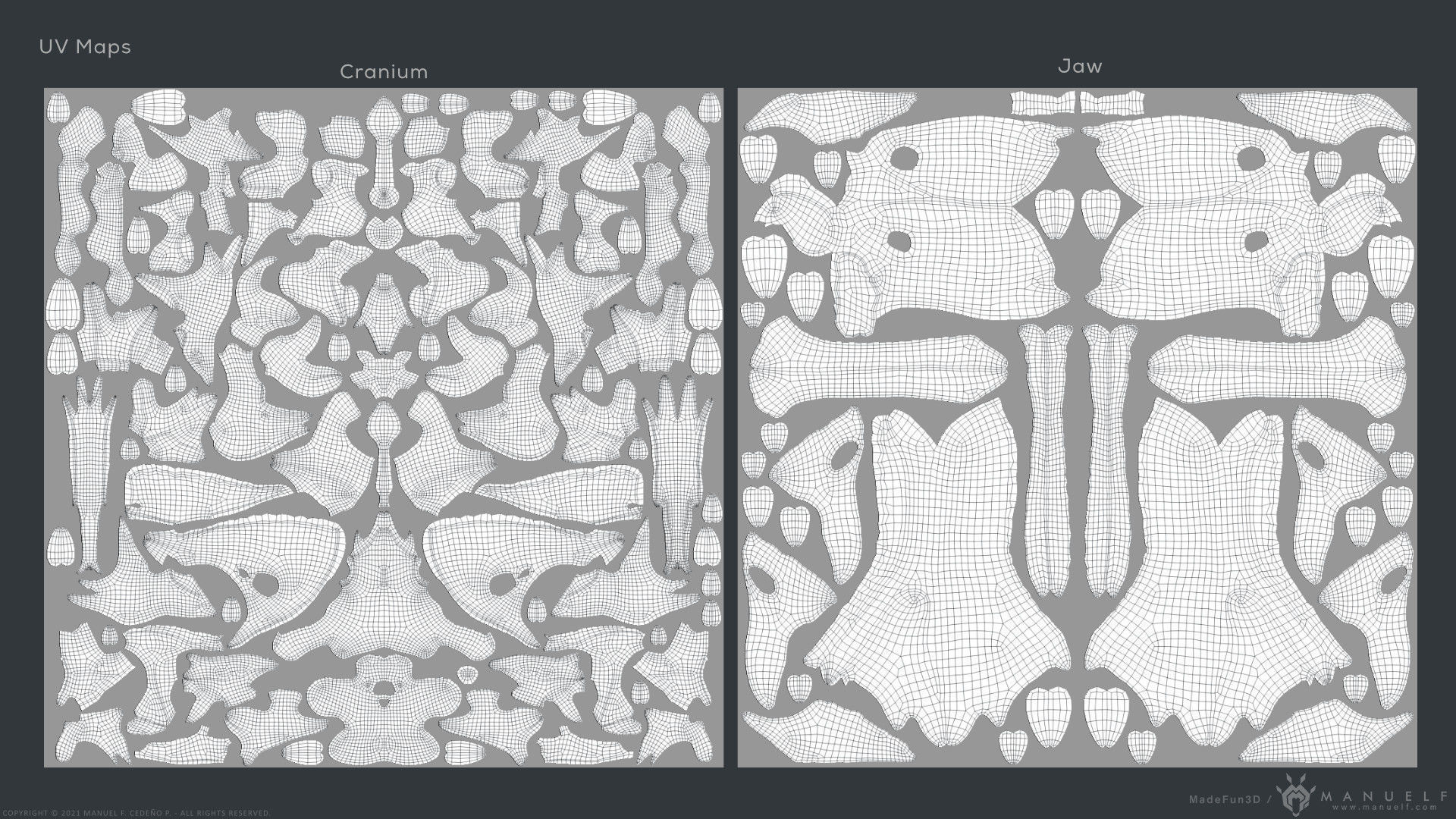 Tyrannosaurus Rex Skull Bones Sculpture 3D model_25