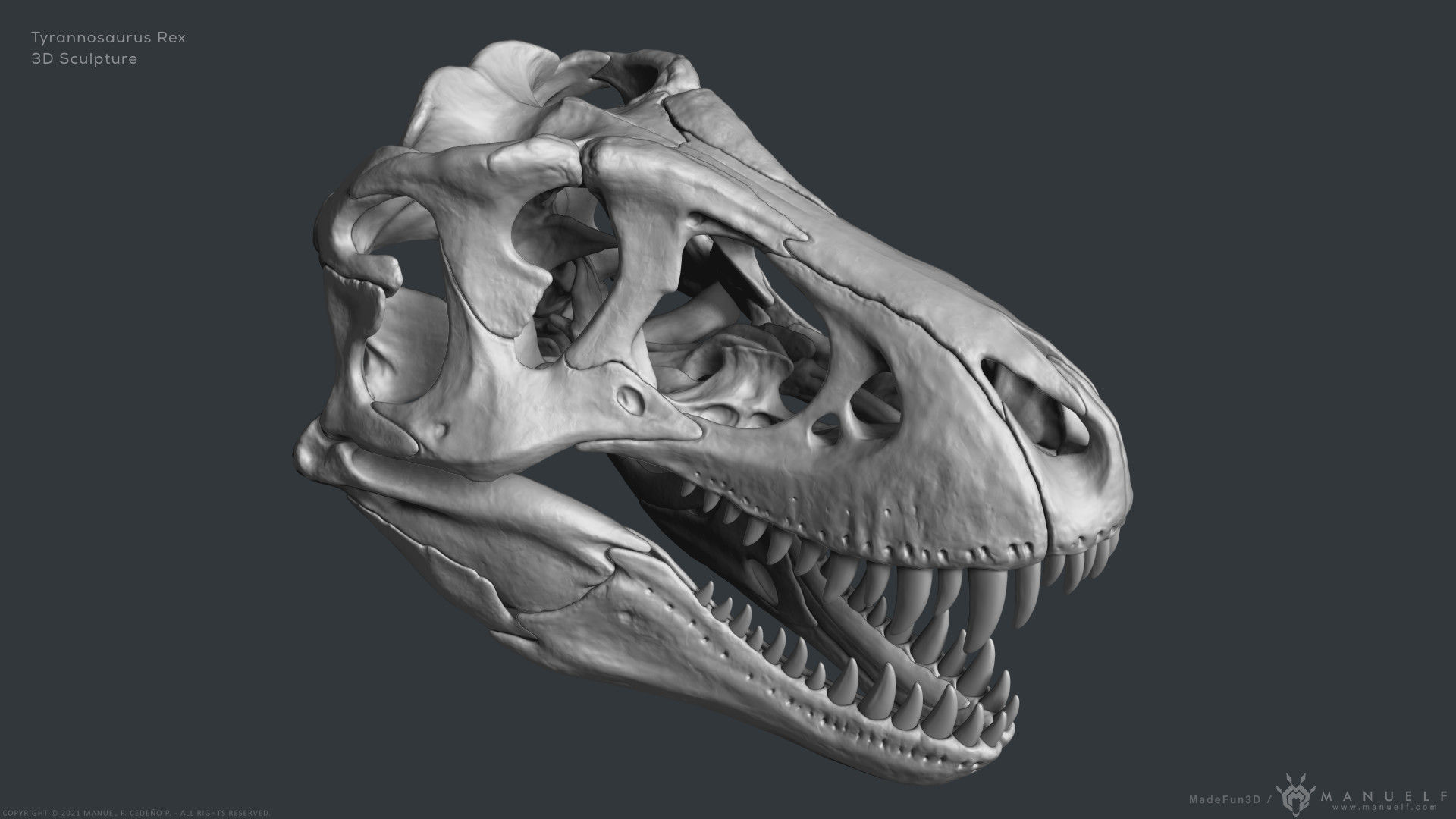 Tyrannosaurus Rex Skull Bones Sculpture 3D model_3