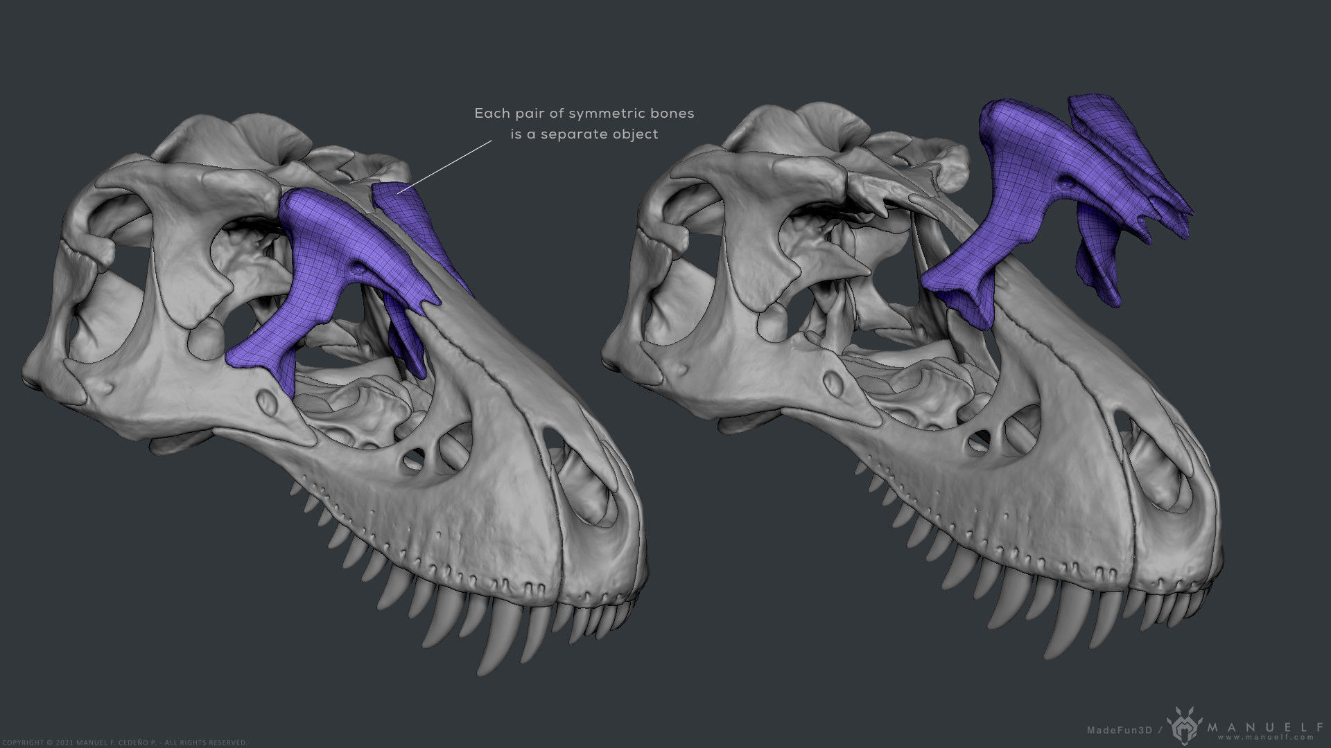 Tyrannosaurus Rex Skull Bones Sculpture 3D model_15
