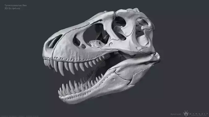 Tyrannosaurus Rex Skull Bones Sculpture 3D model