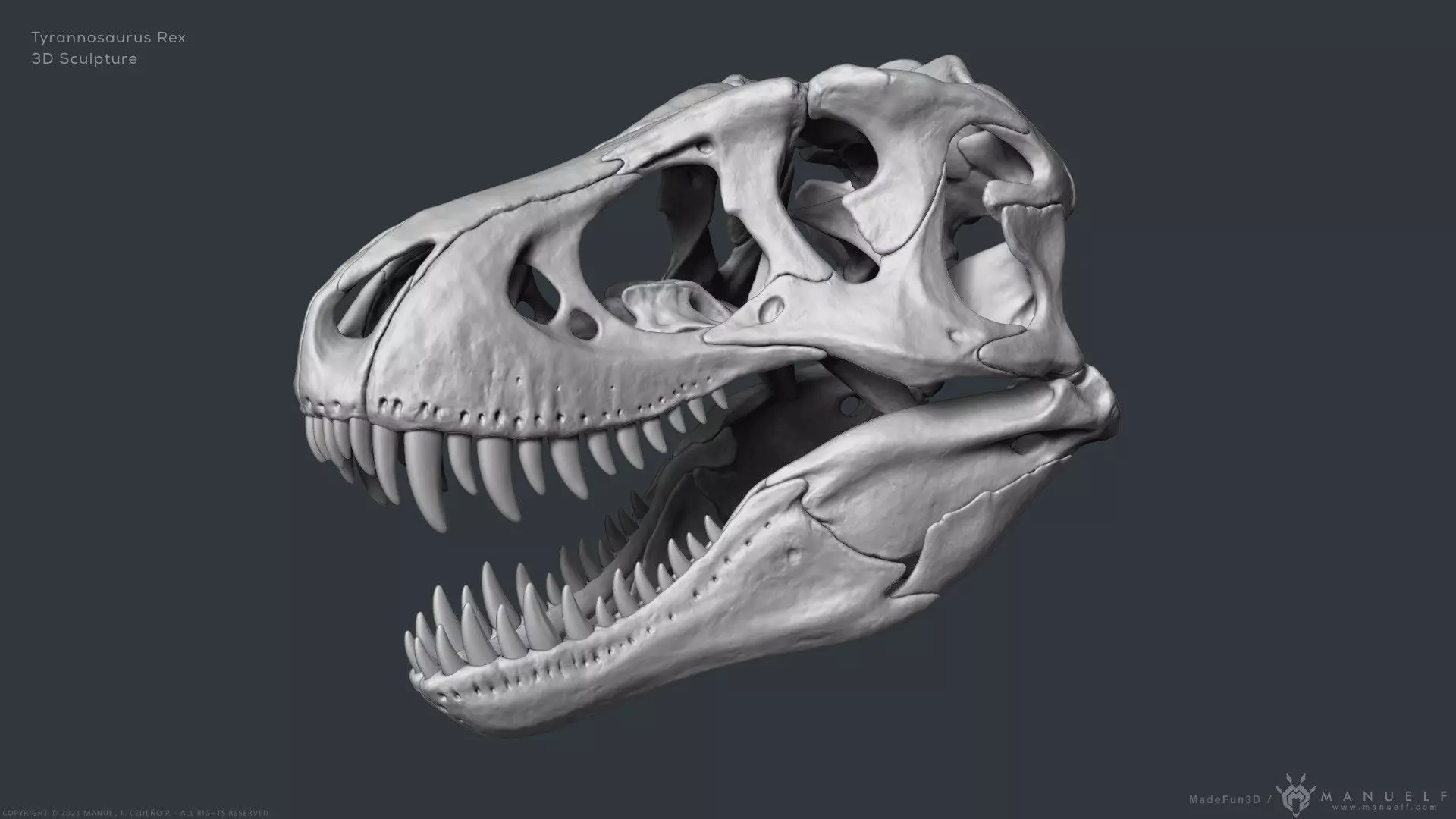 Tyrannosaurus Rex Skull Bones Sculpture 3D model_0