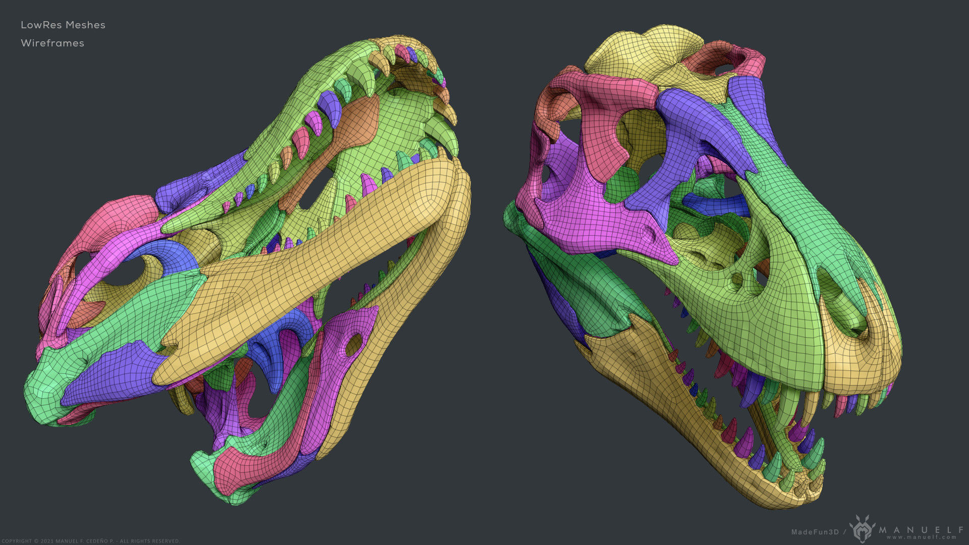 Tyrannosaurus Rex Skull Bones Sculpture 3D model_23