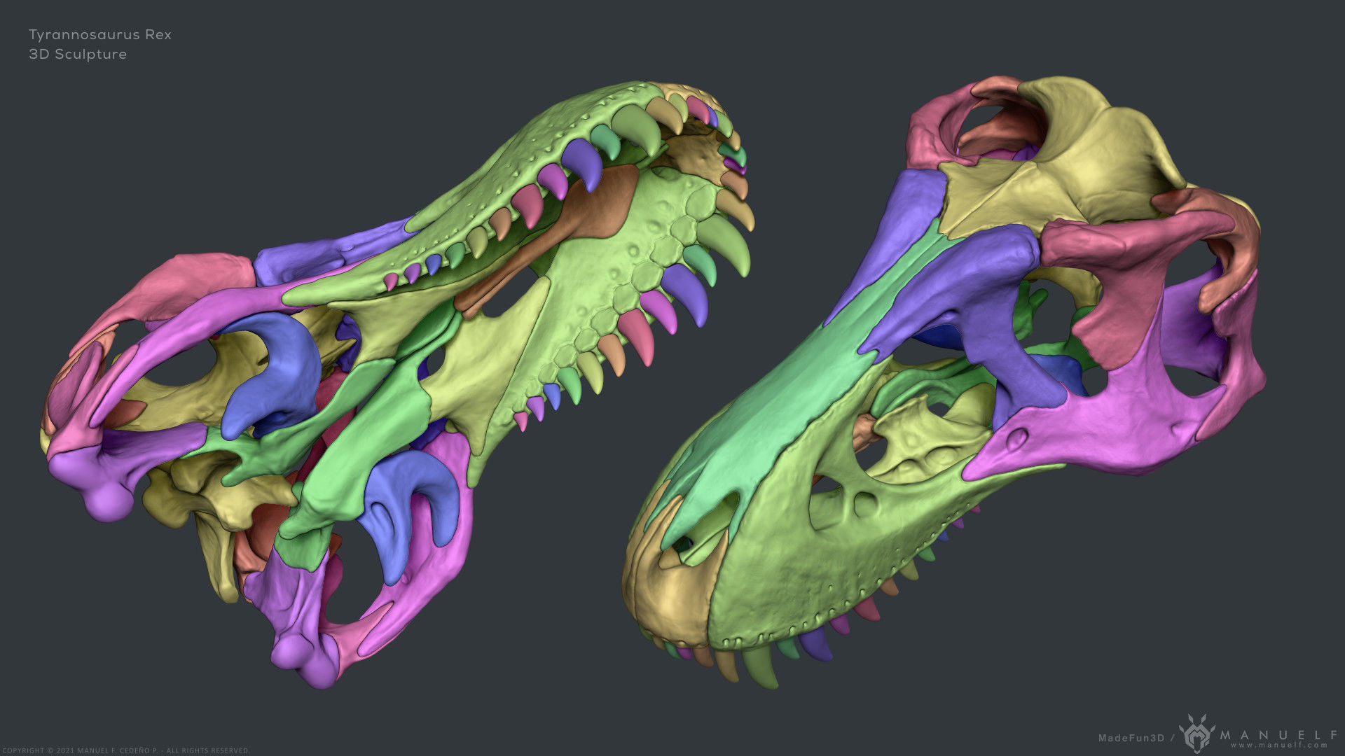 Tyrannosaurus Rex Skull Bones Sculpture 3D model_11