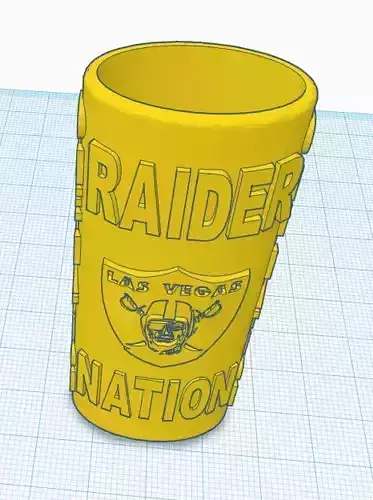 Raider Nation Bic Lighter Case