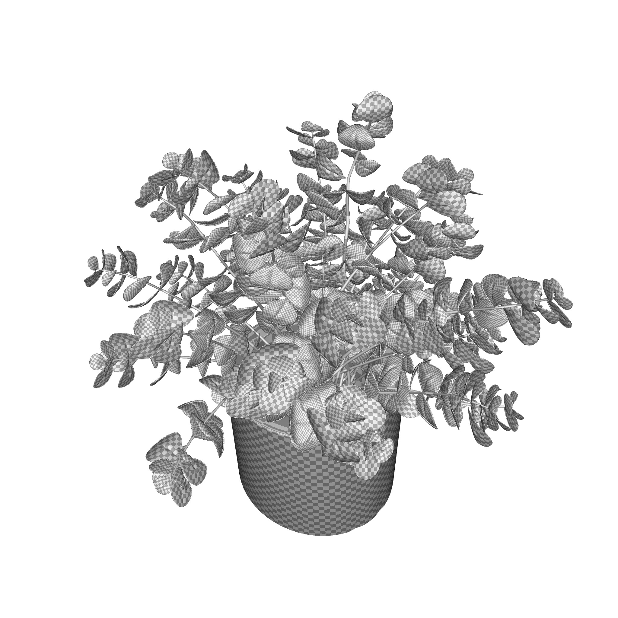 Faux Naturalist Eucalyptus Bonsai Plant 3D model_5