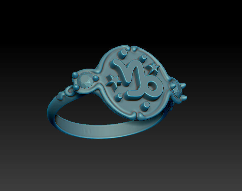 Zodiac signs ring set 3D model for printing Horoscope jewelry 3D print model_14
