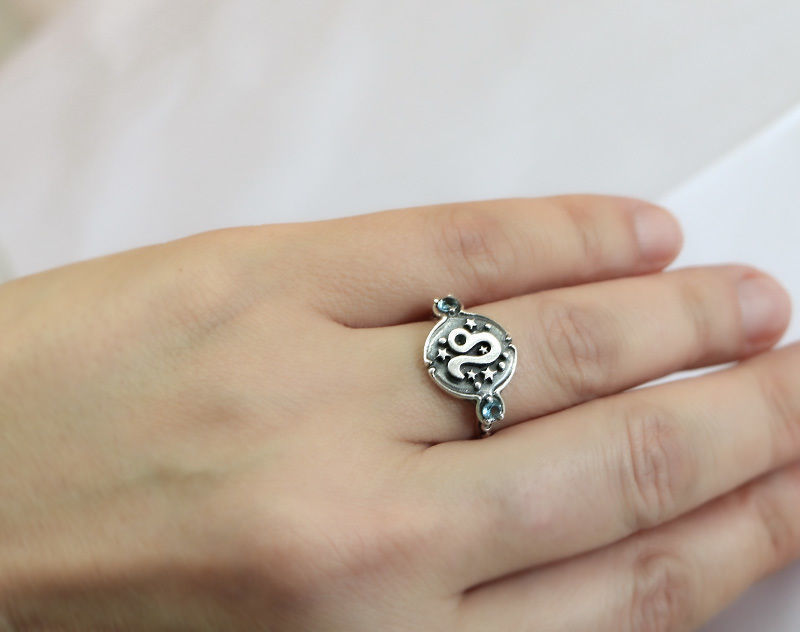 Zodiac signs ring set 3D model for printing Horoscope jewelry 3D print model_6