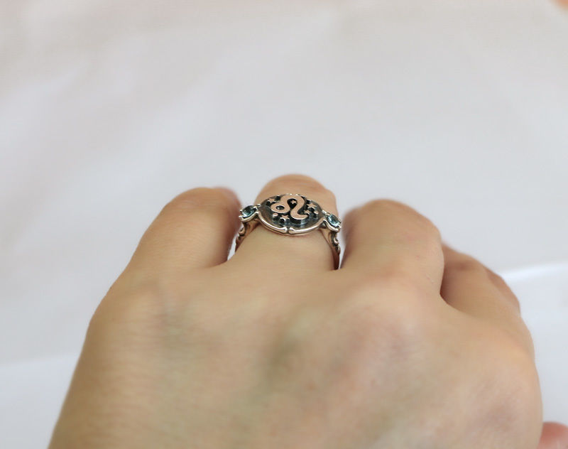 Zodiac signs ring set 3D model for printing Horoscope jewelry 3D print model_5