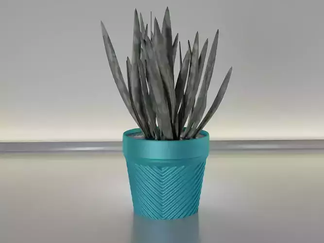 succulent flower pot 25