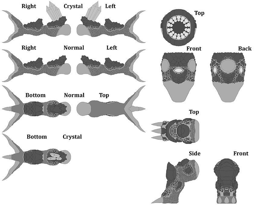 Xorn - Zorn - Rock-Monster Free 3D print model_3