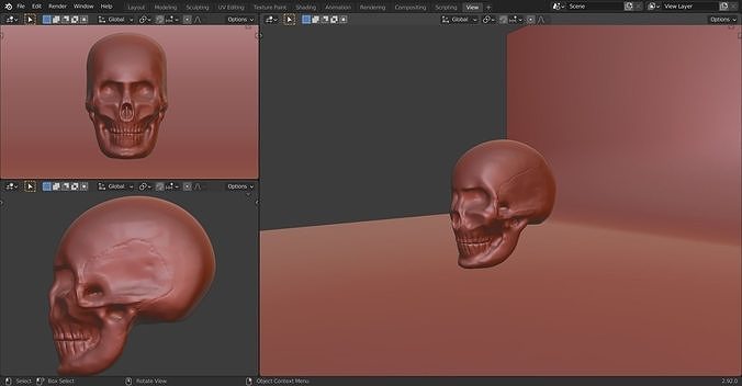 The Skull 3D model