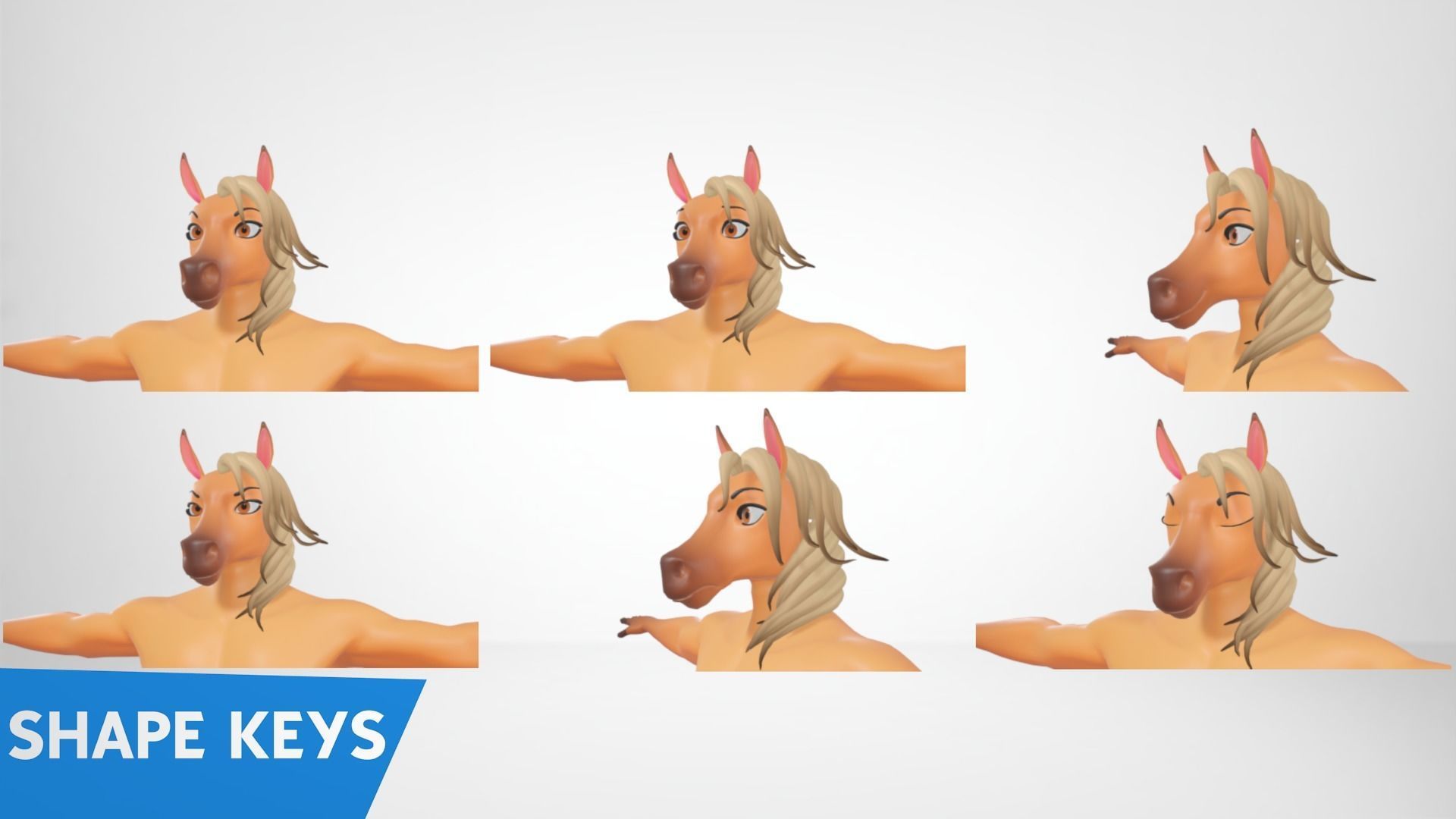  Furry Horse Male Anthro 3D model_9