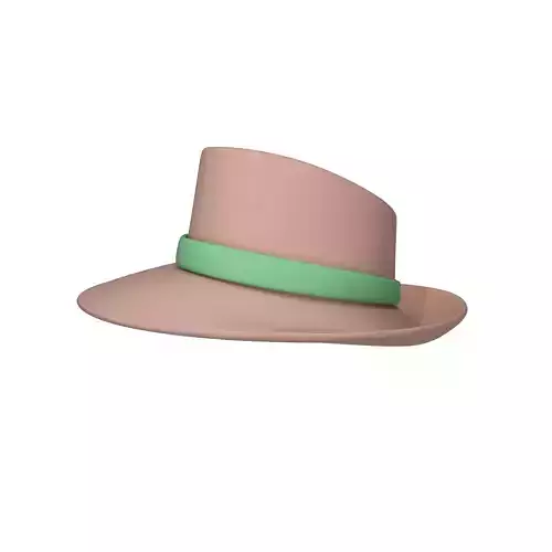 Hat Cartoon 3D model