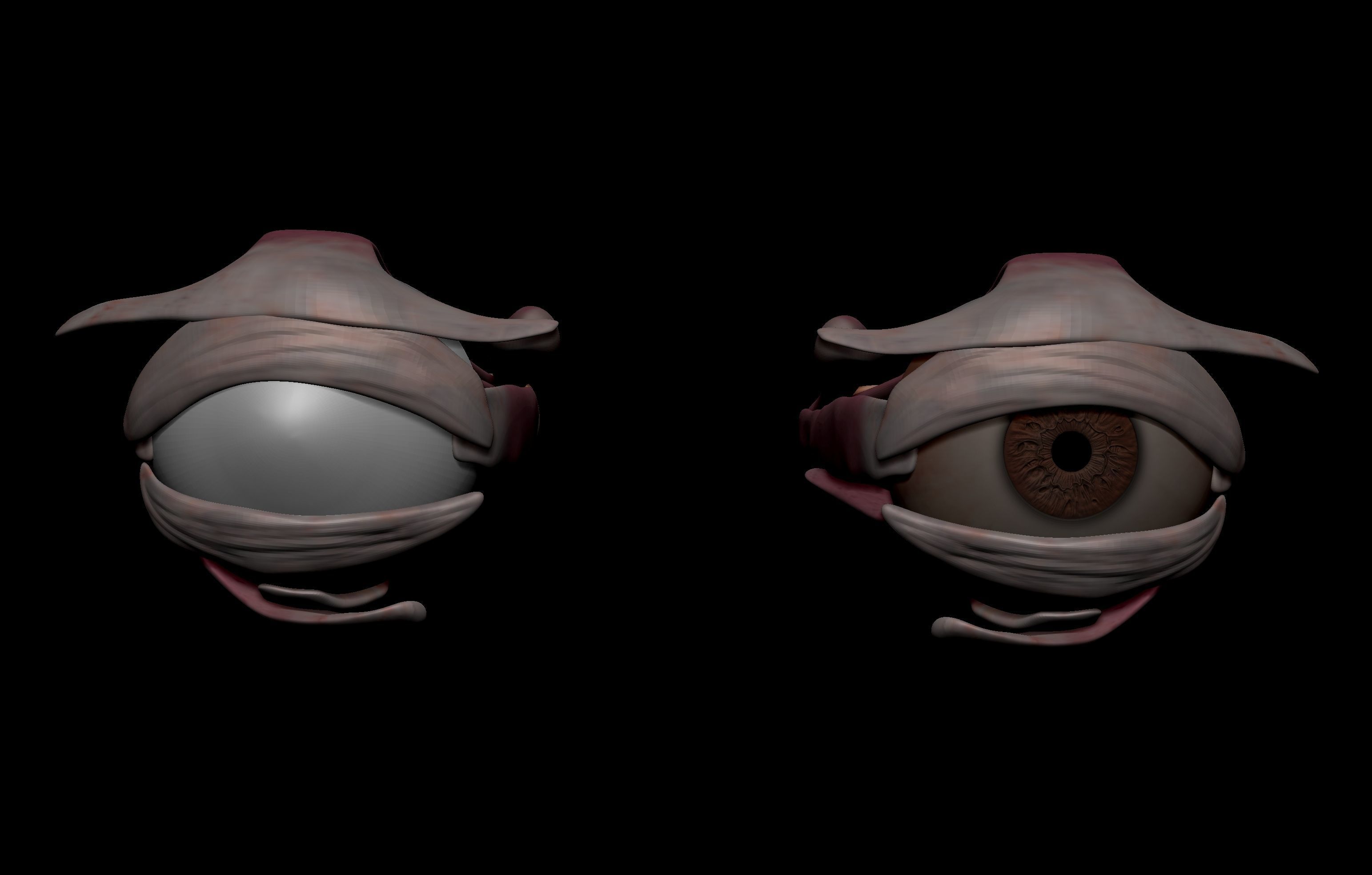 HD Male Complete Human 3D Anatomy Model Low-poly 3D model_95